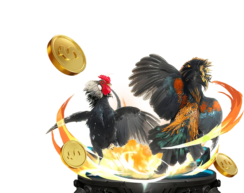 Tổng quan về đá gà hello88 form